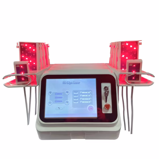 5D 6D Lipolaser Lipo Laser Verde Rosso Luce Perdita di peso Laser Lipo Dimagrante Macchina per modellare il corpo Laser Lipo con CE/RoHS/FDA/ISO per Salone/Casa